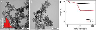 Magnetic Temperature-Sensitive Solid-Lipid Particles for Targeting and Killing Tumor Cells
